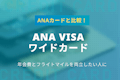 ANA VISAワイドカード3つのメリット｜他のANAカードとの違いを解説！