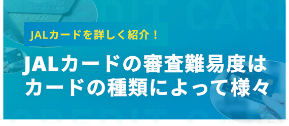 made_JAL審査様々