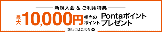 au payカード×新規入会ポイント